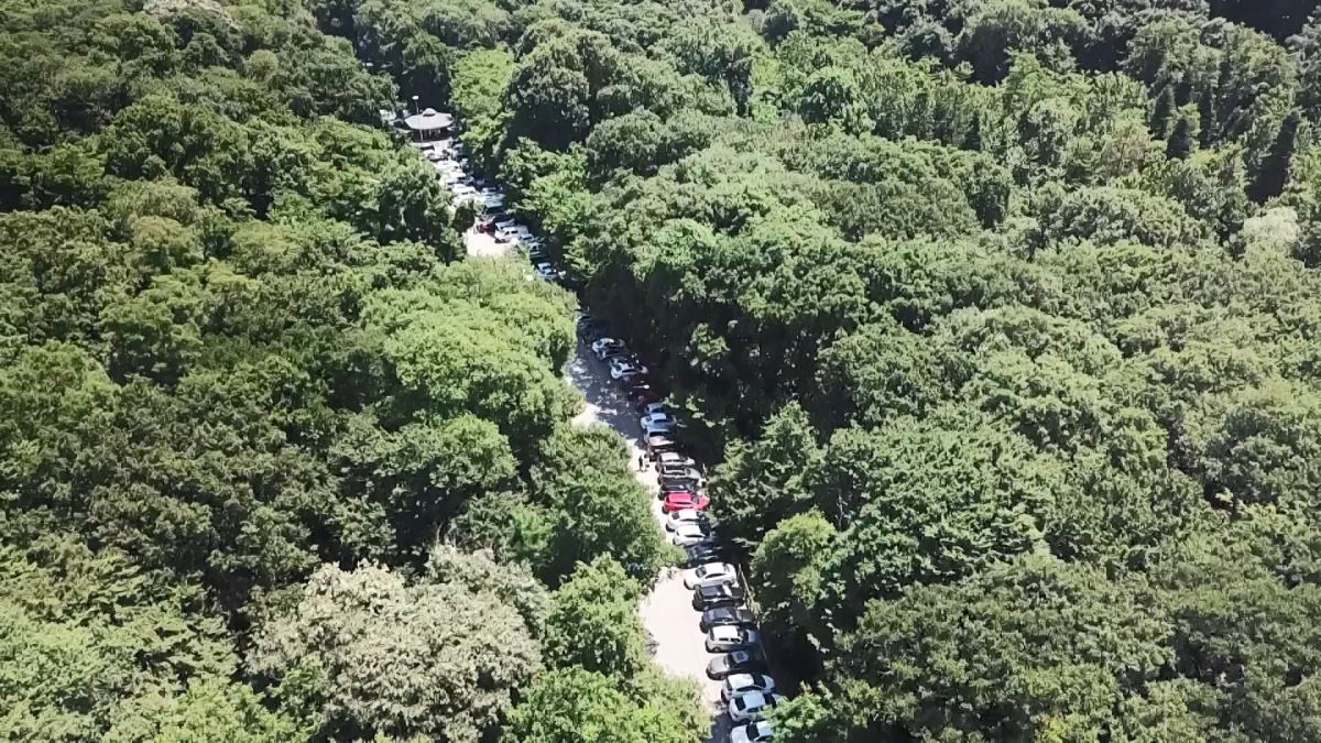 Babalar Günü'nde Belgrad Ormanı'na akın ettiler: uzun araç kuyrukları oluştu