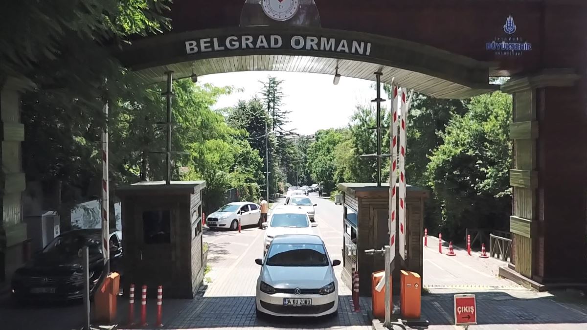 Babalar Günü'nde Belgrad Ormanı'na akın ettiler: uzun araç kuyrukları oluştu