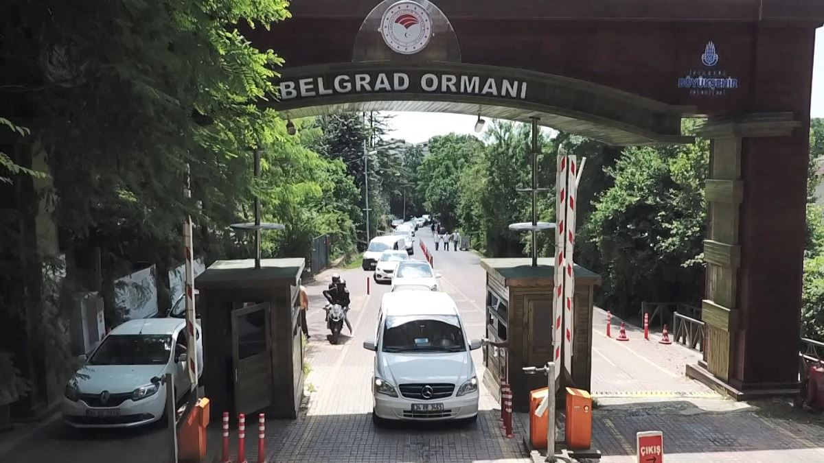 Babalar Günü'nde Belgrad Ormanı'na akın ettiler: uzun araç kuyrukları oluştu