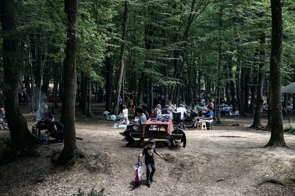 Babalar Günü'nde Belgrad Ormanı'na akın ettiler: uzun araç kuyrukları oluştu