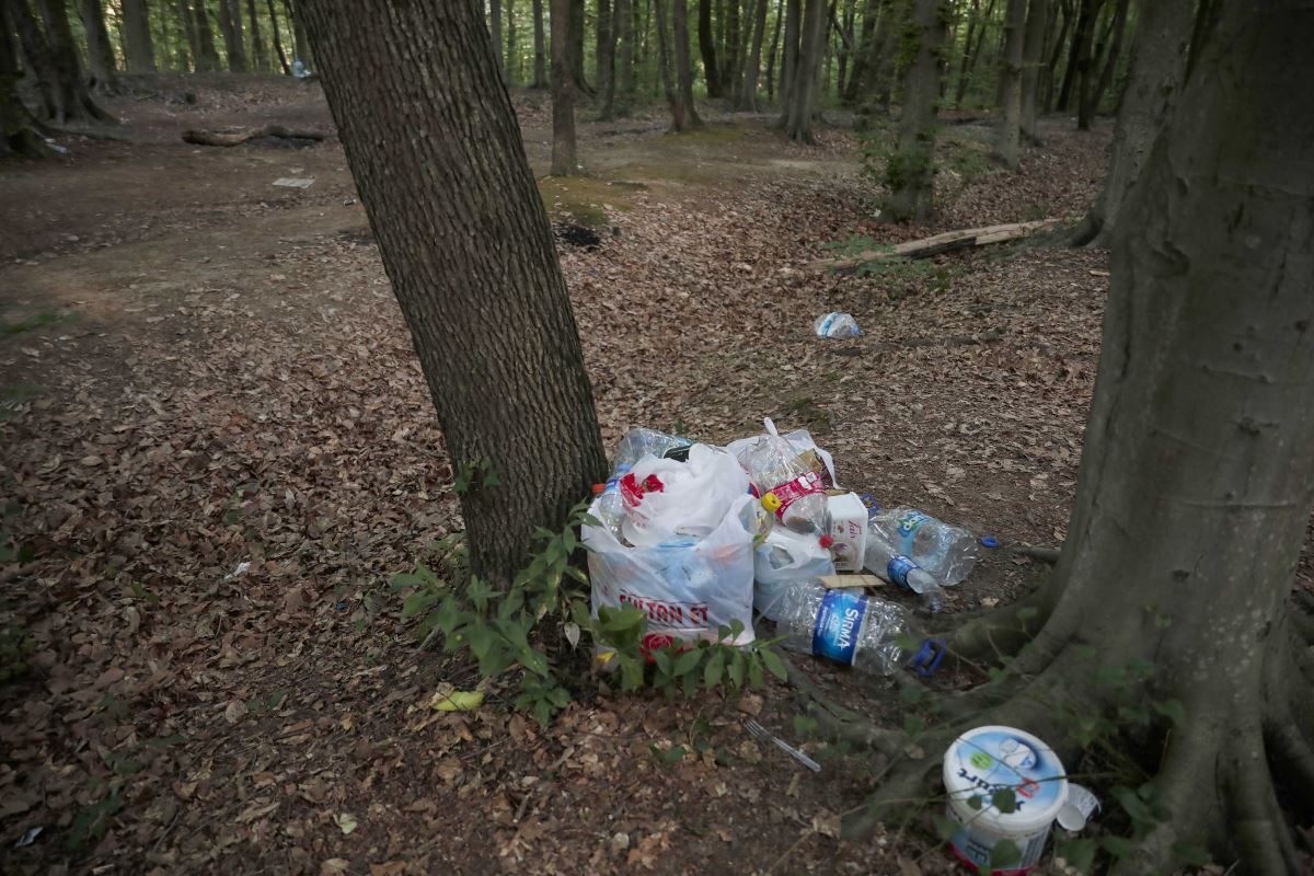 Belgrad Ormanı'nı çöplüğe çevirdiler