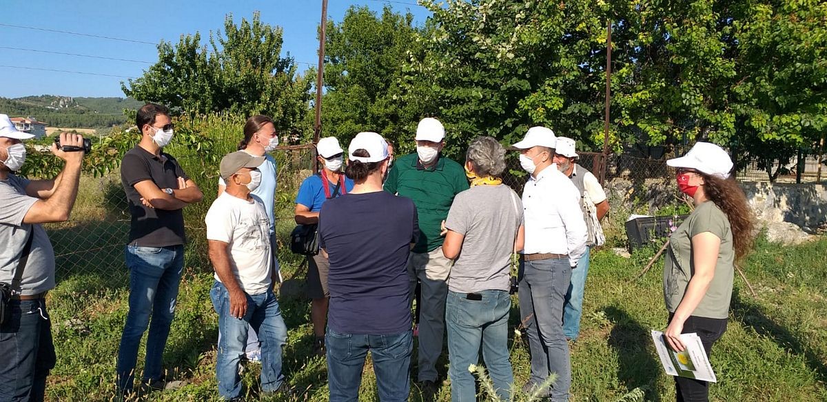 Yok olma riski altında: İncelemeler yapıldı