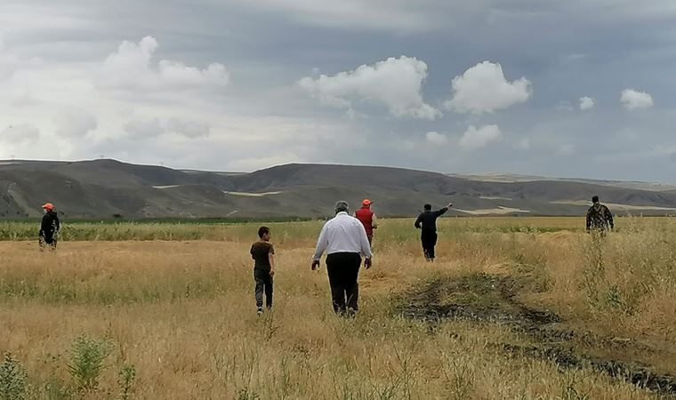 Vali Çiftçi'den, Çorum'da görüldüğü iddia edilen aslan ile ilgili açıklama