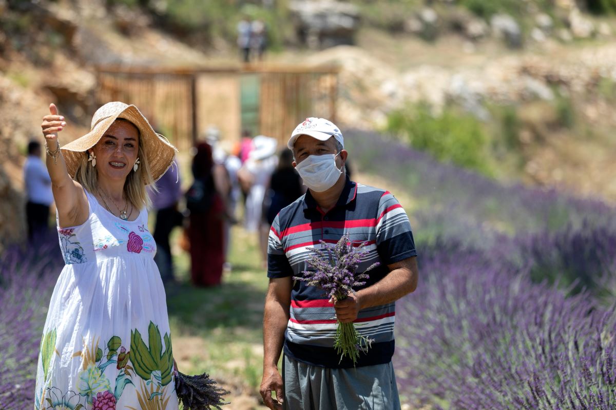 Mersin’deki lavanta tarlasına ziyaretçi akını