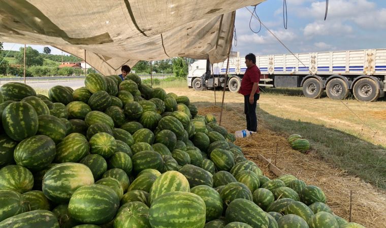 23 ton karpuz elde kaldı