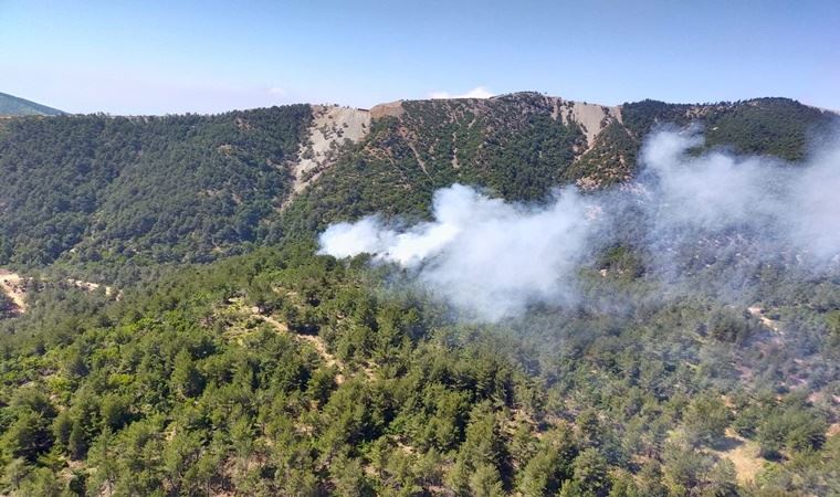 Hatay'da orman yangını; 3 hektar alan kül oldu