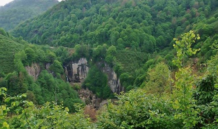 ‘Sakin şehirliler’ zehir istemiyor