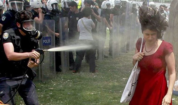 Gezi Parkı: Kazanmak ya da kaybetmek değildi, direnmekti