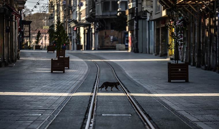 Bilim Kurulu Üyesi bu hafta sonu uygulanacak sokağa çıkma yasağının nedenlerini böyle açıklamıştı