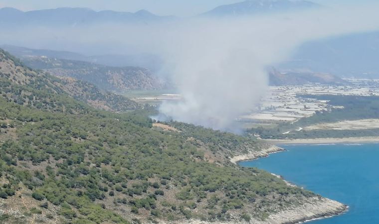 Muğla'nın Seydikemer ilçesindeki ormanlık alanda çıkan yangın söndürüldü