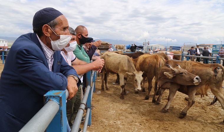 İstanbul Valiliği kurban kesiminde alınacak tedbirleri açıkladı