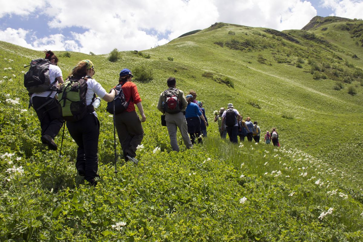 Rize'nin Petran Yaylası rengarenk