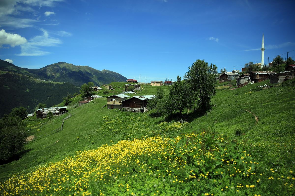 Rize'nin Petran Yaylası rengarenk