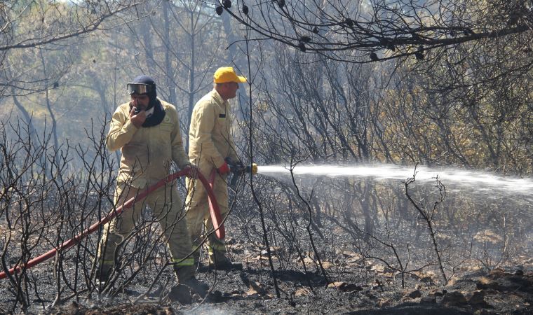 İzmir’de dün çıkan orman yangını ile ilgili bir şüpheli gözaltına alındı