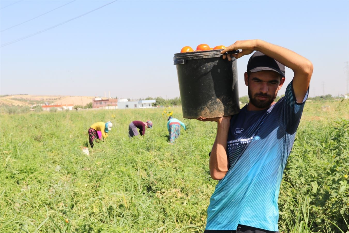 Şanlıurfa'da kavurucu sıcakta ekmek mücadelesi veriyorlar