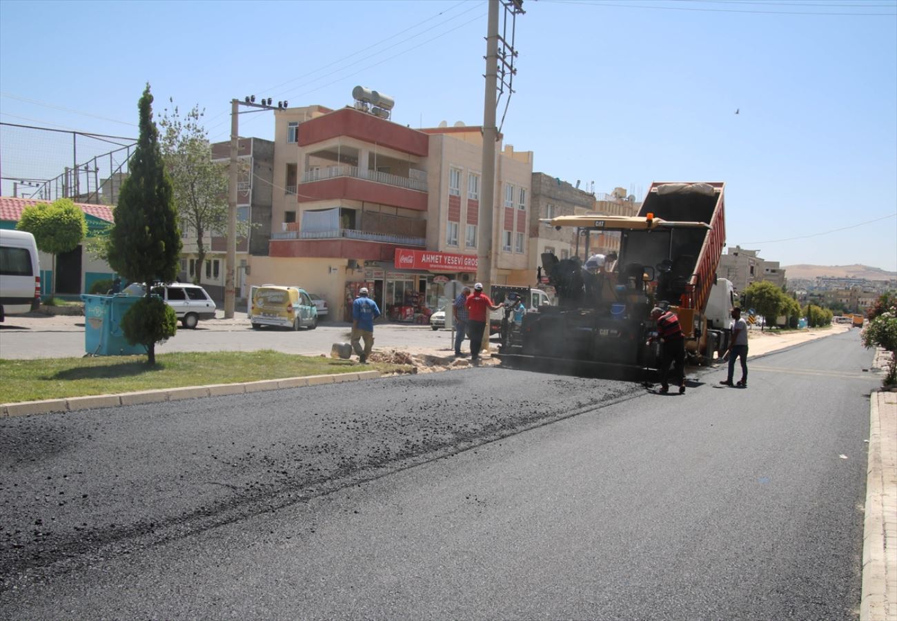 Şanlıurfa'da kavurucu sıcakta ekmek mücadelesi veriyorlar