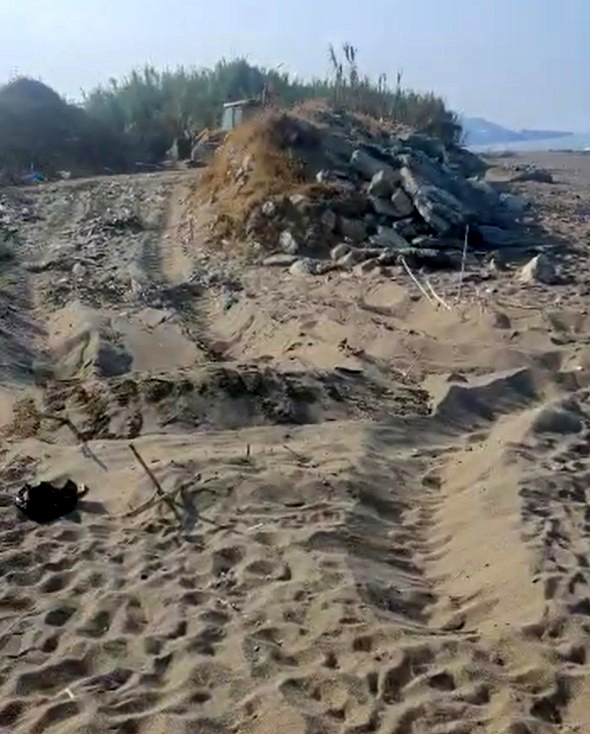 Alanya'da deniz kaplumbağası yuvaları, iş makinesiyle ezildi