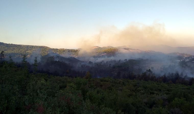 Manavgat'ta orman yangını