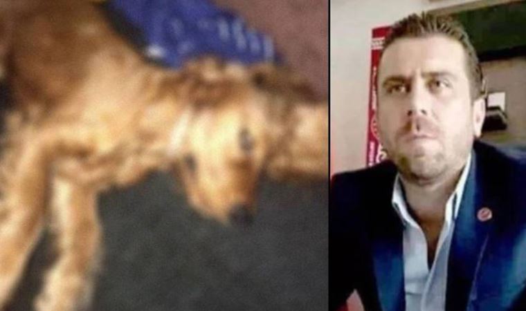 Köpeğe tecavüz edip öldürmek iddiasıyla gözaltına alınan Volkan Uzun tutuklandı