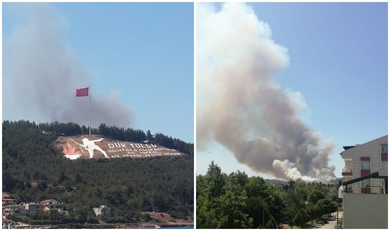 Çanakkale'nin Eceabat ilçesinde  orman yangını