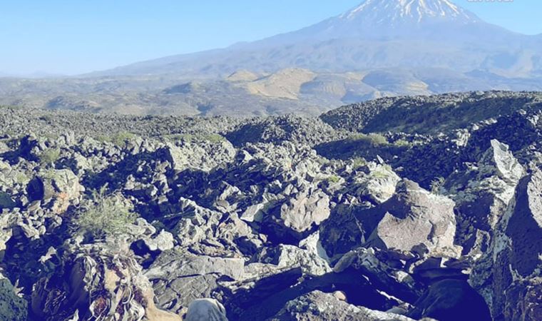 Ağrı, Iğdır ve Kars'ta terör operasyonu