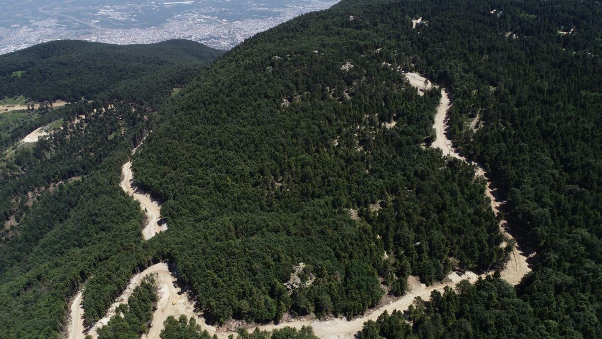 Uludağ'da altyapı çalışması için 1500 ağaç kesildi, tartışma başladı