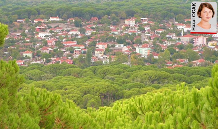 Bayındır’daki maden, kapasite artışı talep etti. Proje alanı yaban hayatı geliştirme sahasında