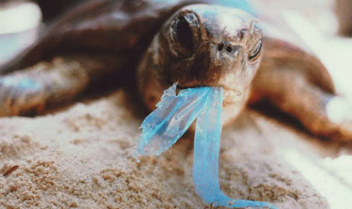 'Tek Kullanımlık Plastikler Yasaklansın' kampanyasına 500 bin kişiden destek