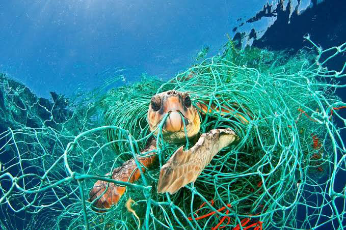 'Tek Kullanımlık Plastikler Yasaklansın' kampanyasına 500 bin kişiden destek