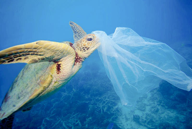 'Tek Kullanımlık Plastikler Yasaklansın' kampanyasına 500 bin kişiden destek