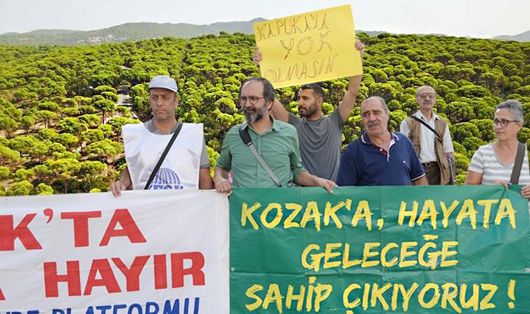 Bergama'da yargı zaferi: 4 bin 325 kızılçam, zeytinlikler, meralar ve tarım alanları kurtuldu