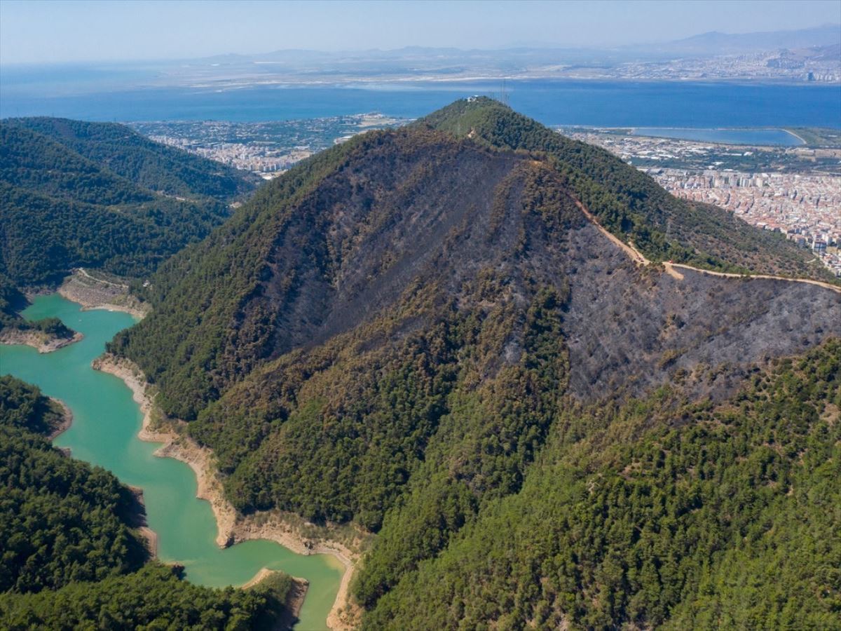 İzmir'de dün yanan orman alanı havadan görüntülendi