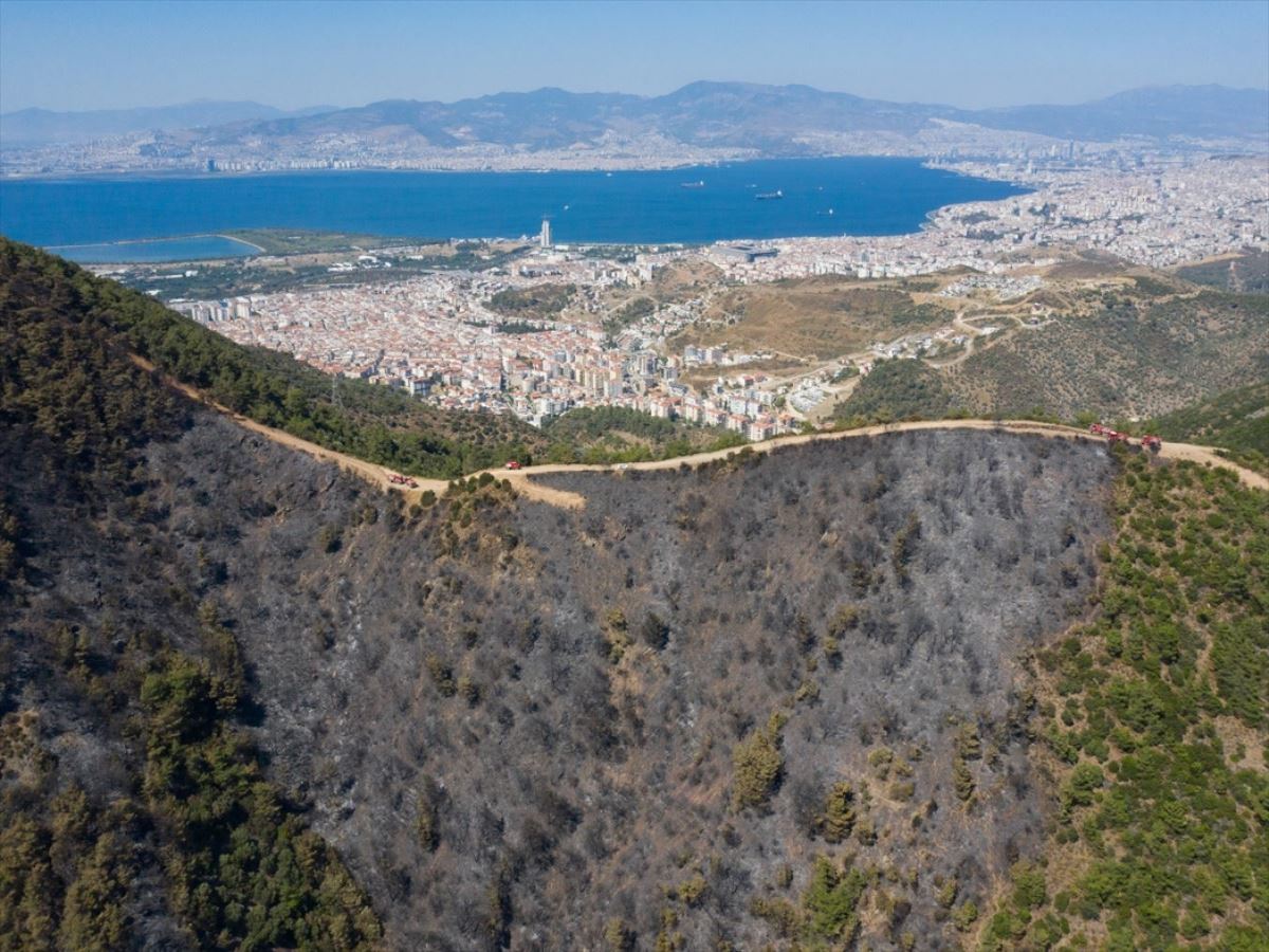 İzmir'de dün yanan orman alanı havadan görüntülendi