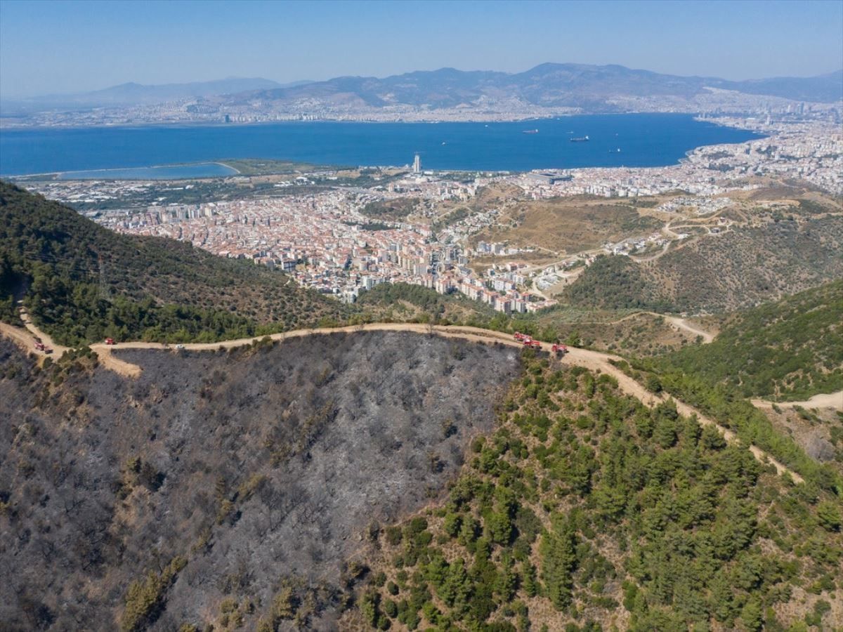 İzmir'de dün yanan orman alanı havadan görüntülendi