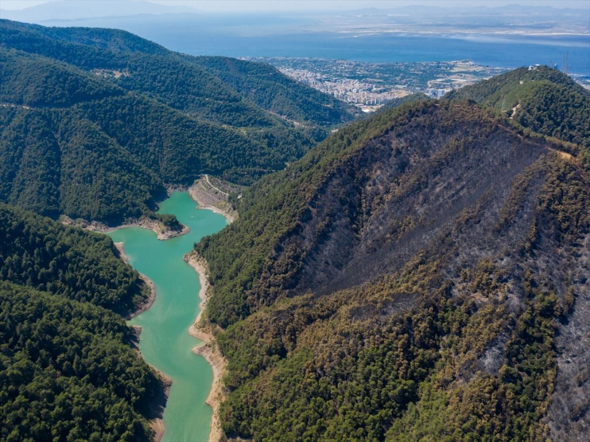 İzmir'de dün yanan orman alanı havadan görüntülendi