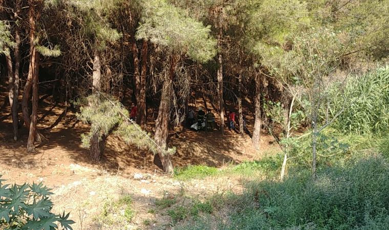 Yer Hatay:  Baba ile 7 yaşındaki kızı, ayrı ilçelerde ağaca iple asılı halde ölü bulundu