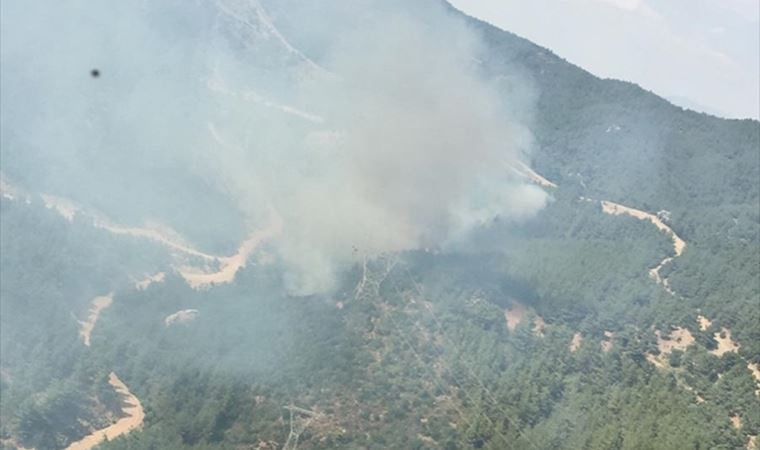 İzmir'de çıkan orman yangınına müdahale ediliyor