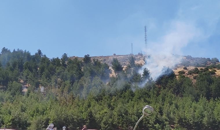 Gaziantep’te orman yangını 5 dekarlık alanı kül etti