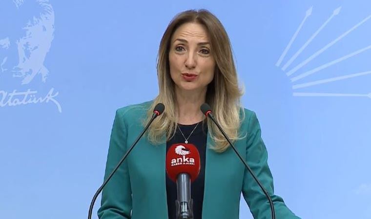 CHP Kadın Kolları Başkanı Nazlıaka: İstanbul Sözleşmesi'nden kadına şiddet uygulayan erkekler rahatsız