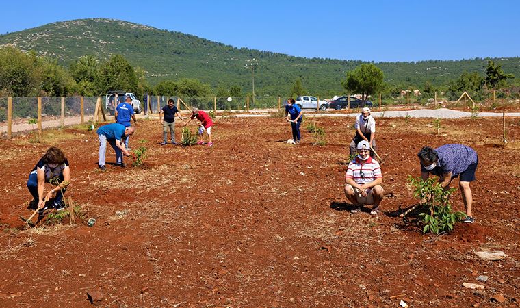 Muğla'da yaşlı ve engelliler için hobi bahçeleri kuruyor