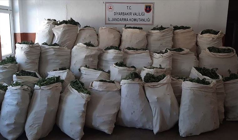 Diyarbakır'da 1 milyon 119 bin kök kenevir ve 756 kilogram esrar ele geçirildi