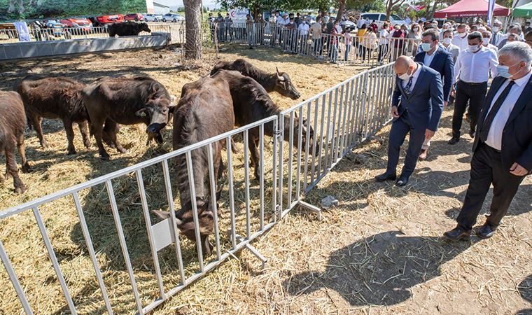 İzmir'de üreticiye hibe desteği sürüyor