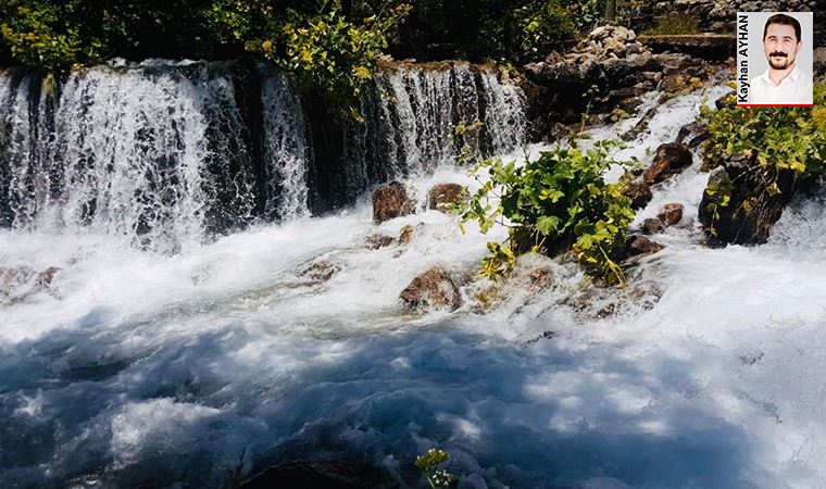 Munzur için açıklama yapanlara ceza