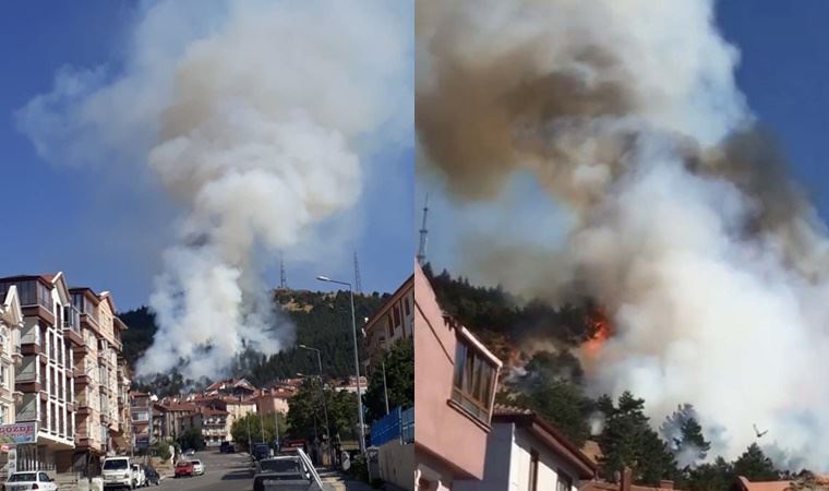 Ankara'da orman yangını (14.08.2020)