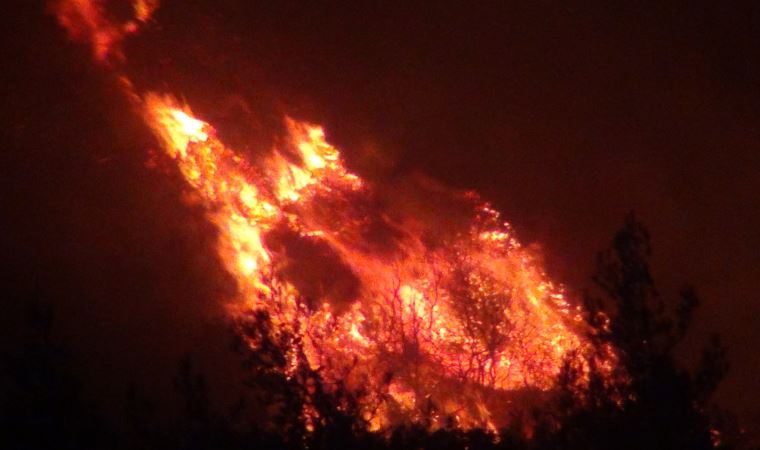 Hatay'da orman yangını