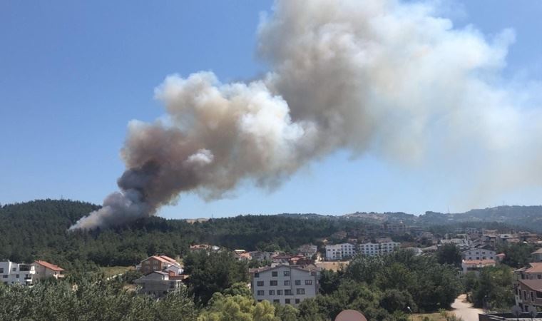 Bursa'nın Nilüfer ilçesinde çıkan orman yangınıyla ilgili bir kişi gözaltına alındı