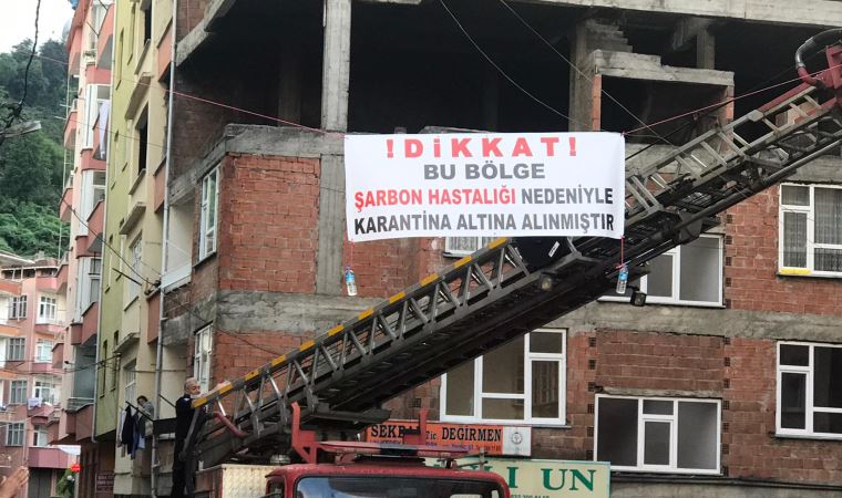 Kesilen büyükbaş şarbonlu çıktı, mahalle karantinaya alındı