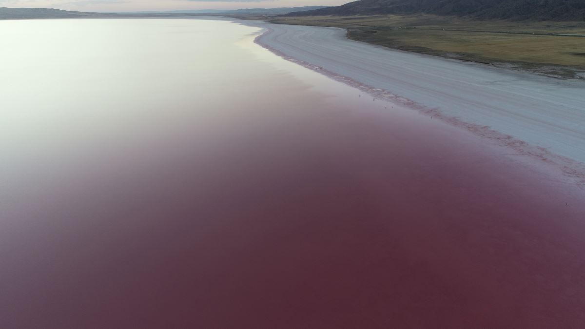 Pembe renge bürünen Tuz Gölü, ilgi odağı oldu