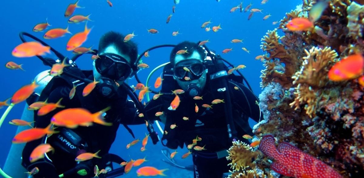 Antalya'nın dalış noktalarından kareler