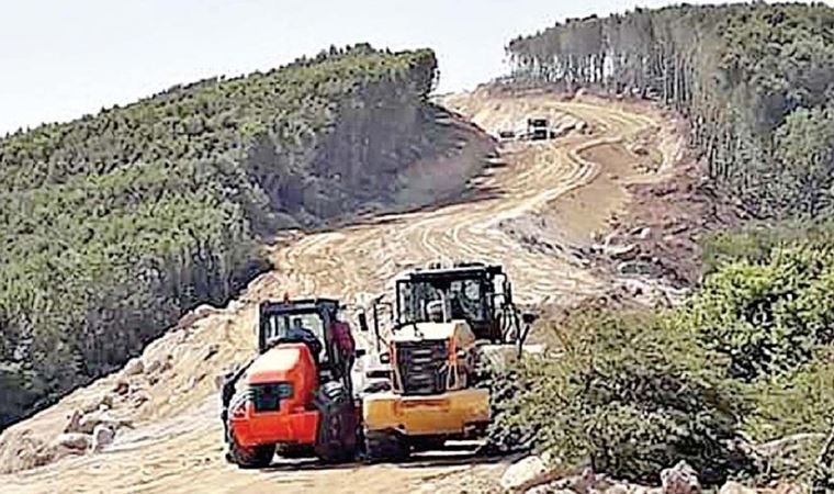 Erdek: Kapıdağ ormanları talan ediliyor